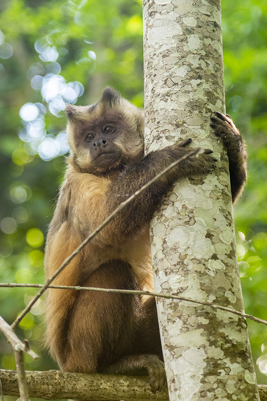 Bonito - Photo by Hudson Garcia (4)